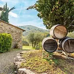 Ulivo * Radda in Chianti